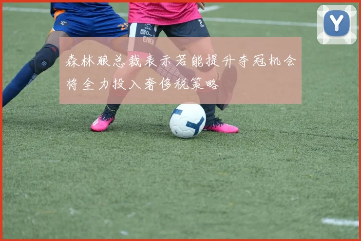 森林狼总裁表示若能提升夺冠机会将全力投入奢侈税策略