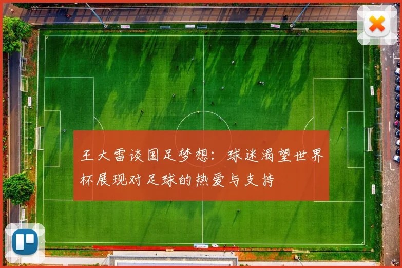 王大雷谈国足梦想：球迷渴望世界杯展现对足球的热爱与支持